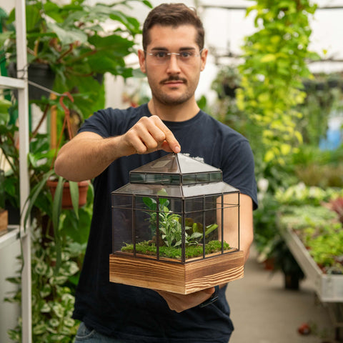 Simegarden Terrario piante 21x21 cm