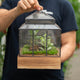 Simegarden Terrario piante 21x21 cm