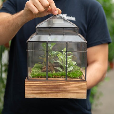 Simegarden Terrario piante 21x21 cm