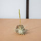 Simegarden Tillandsia fuchsii fuchsii M