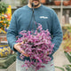 Simegarden Tradescantia pink paradise