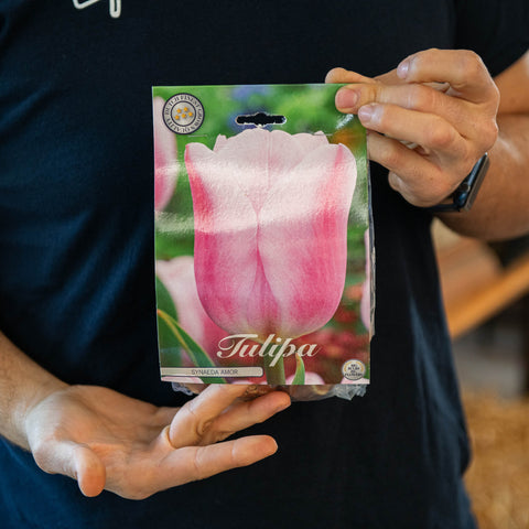 Simegarden Tulipano synaeda amor 7 / mix