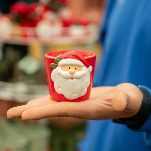 Simegarden Vasetti natalizi 6.5 cm / Babbo Natale