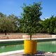 Simegarden Vaso cilindro Bouclé