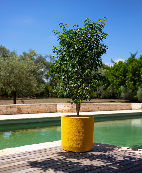 Simegarden Vaso cilindro Bouclé