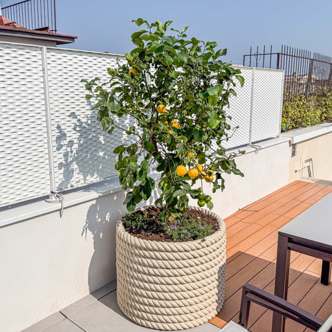 Simegarden Vaso Cilindro corda