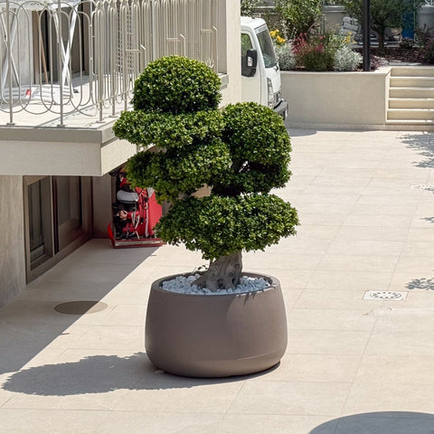 Simegarden Vaso da esterno grande Titano