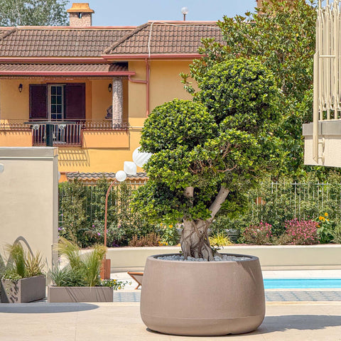 Simegarden Vaso da esterno grande Titano 50 cm / Grigio Tortora