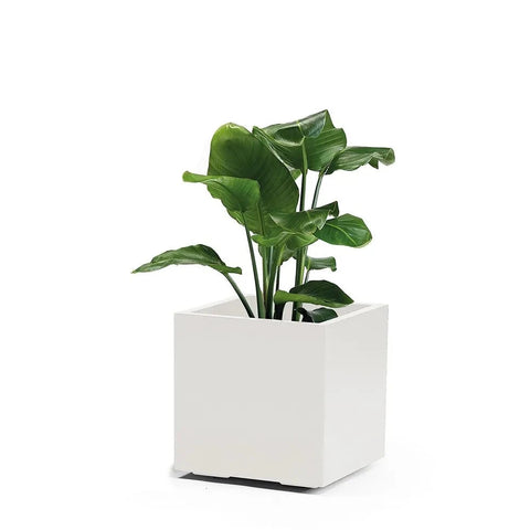 Simegarden Vaso esterno design kebe greener cubo 40 x 40 x 40 cm / Bianco