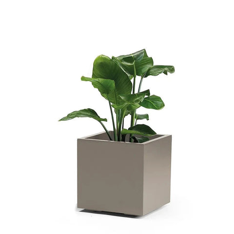 Simegarden Vaso esterno design kebe greener cubo 40 x 40 x 40 cm / Grigio tortora