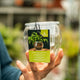 Simegarden Vaso per idrocoltura 7 cm