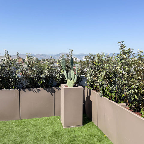 Simegarden Vaso Pilone Fenice