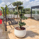 Simegarden Vaso urbano acaya