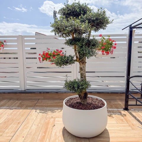 Simegarden Vaso urbano acaya