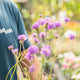 Simegarden Verbena rigida 14 cm