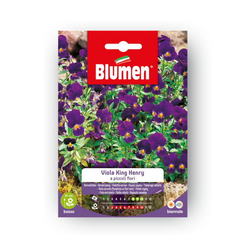 Simegarden Viola King Henry semi