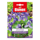 Simegarden Viola mammola semi