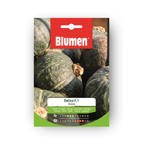 Simegarden zucca delica semi