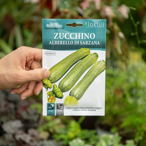 Simegarden Zucchino alberello di sarzana semi