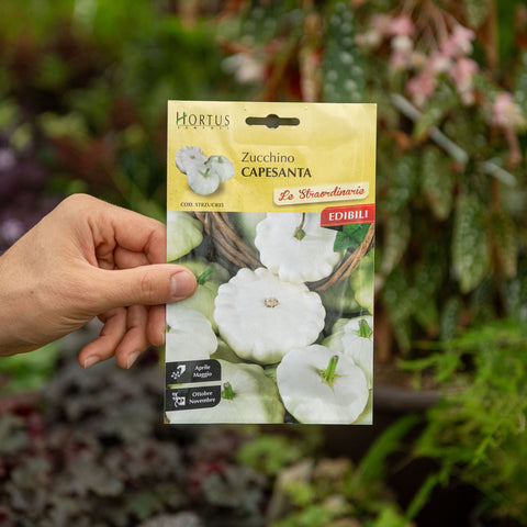 Simegarden Zucchino capesanta Semi