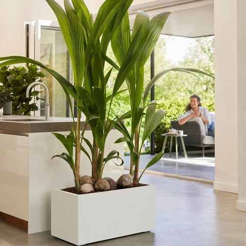 Vaso per piante rettangolare – Simegarden