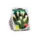 Simegarden Calla bianca 14/16cm / Da Settembre a Dicembre