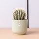 Simegarden Cuscino della suocera 14 cm