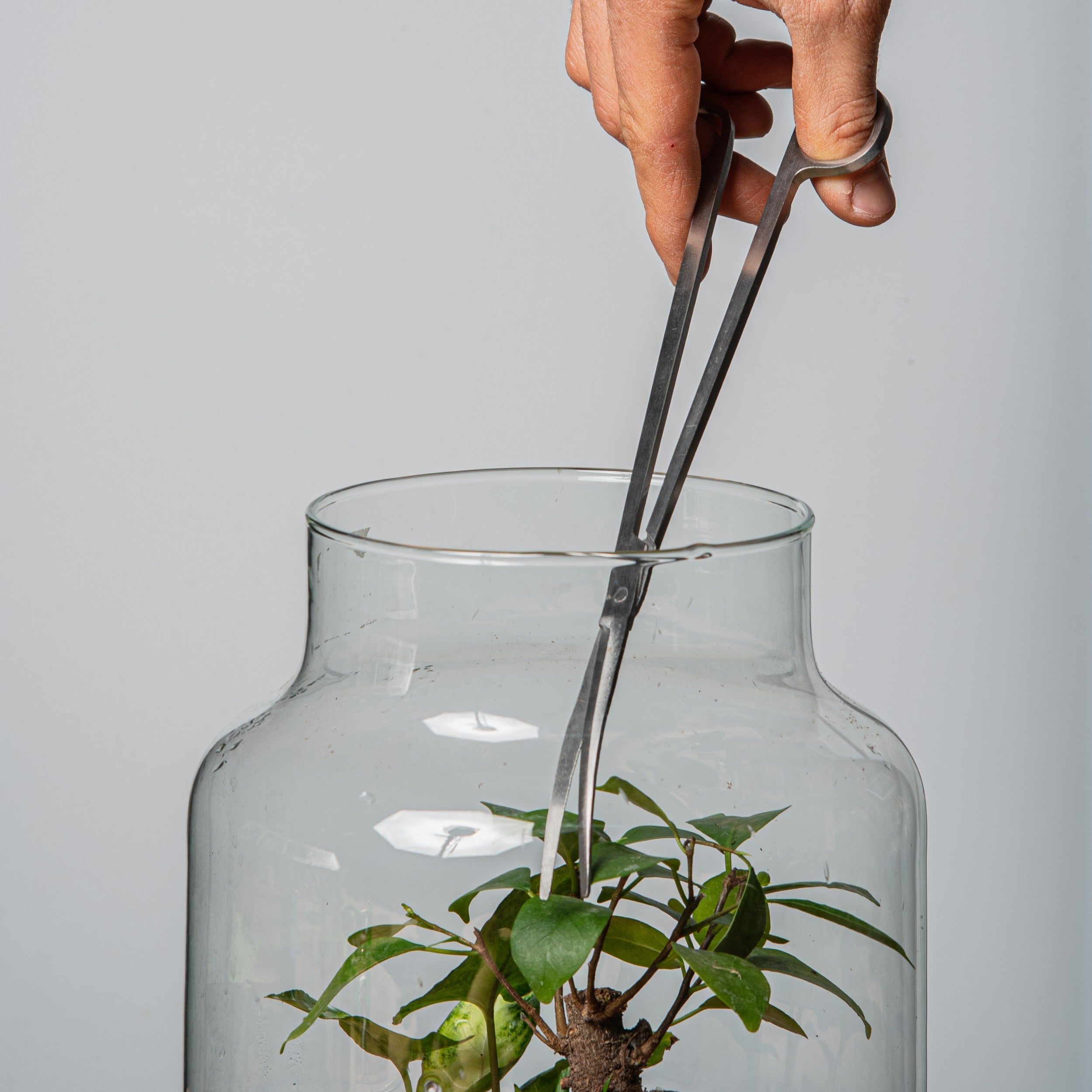 Set 4 Attrezzi Per Acquario In Acciaio Inox - Pinzette, Forbici, Spatola Per Piante Acquatiche - Foto 13