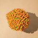 Simegarden Nertera granadensis 8.5cm