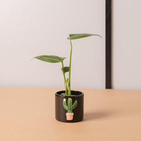 Simegarden Piccolo vaso in ceramica