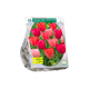 Simegarden Tulipano sfumature rosa 25