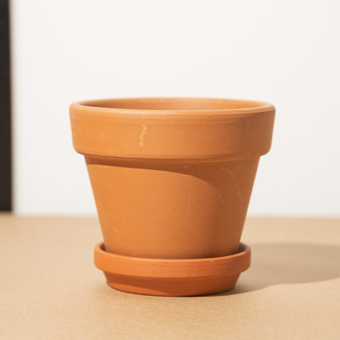 Simegarden Vaso di terracotta 10 cm