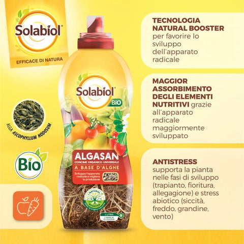 Solabiol Alghe concime fogliare 1L / Sviluppa l'apparato radicale e migliora la produzione